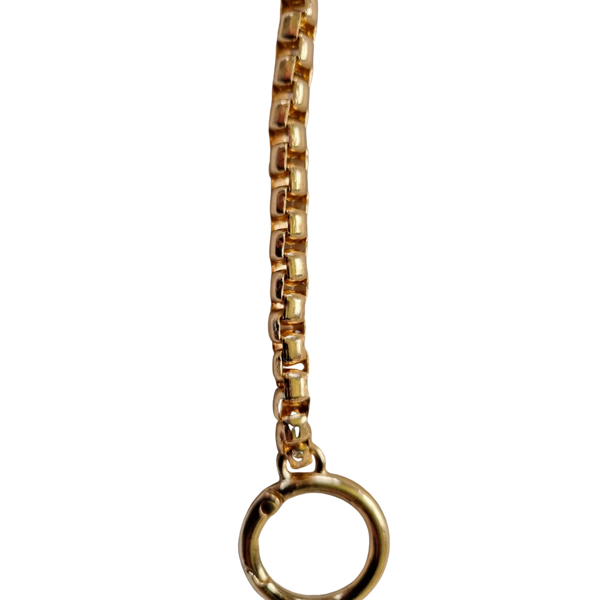Ciana Gold Crossbody Chain Strap